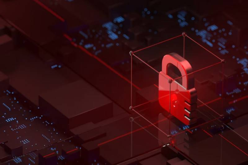 信创浪潮下的协同进阶:林芝软件开发公司助力ERP与多系统信创适配